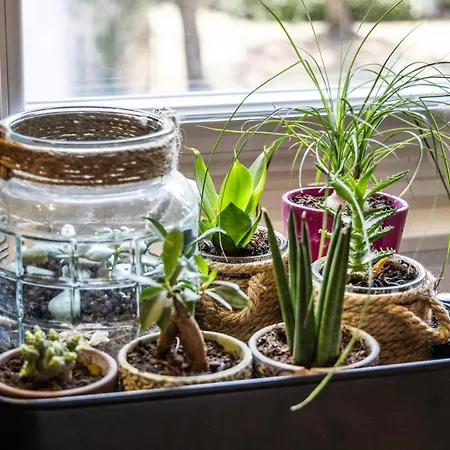 Casa Montini * Malcesine