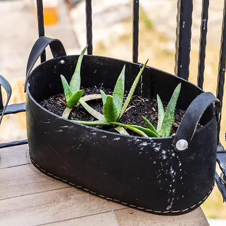 アパート Casa Montini *