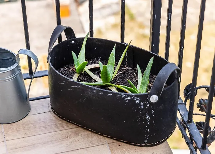 아파트 Casa Montini *