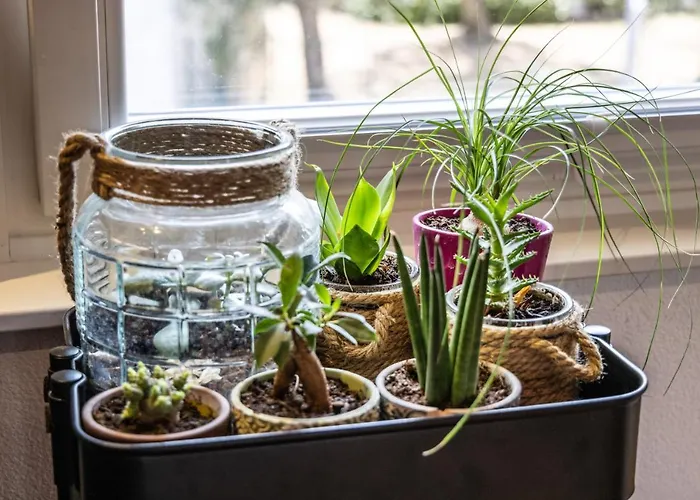 Casa Montini * Malcesine